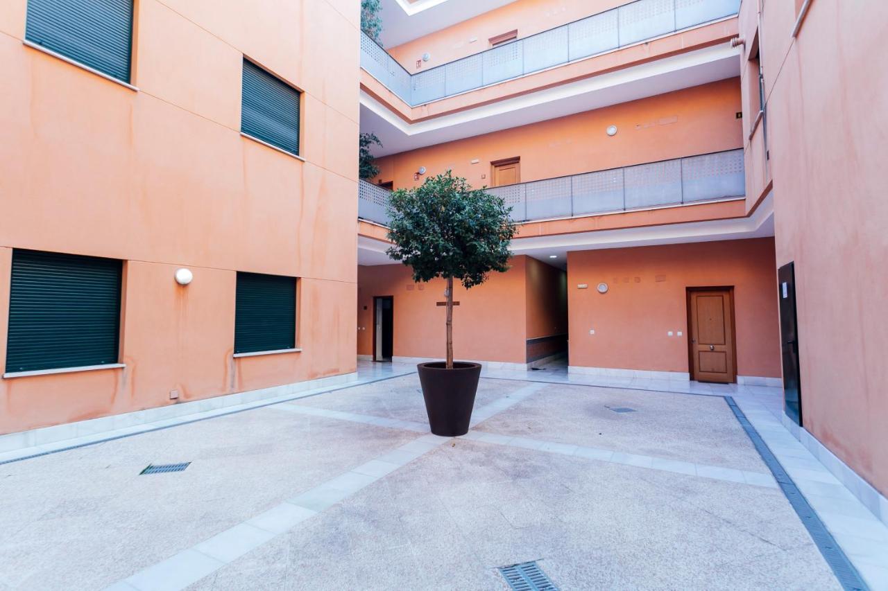 Alohamundi Zaragoza IV — Fotos 1